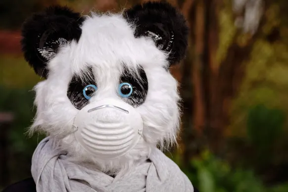 BitReels Casino Support